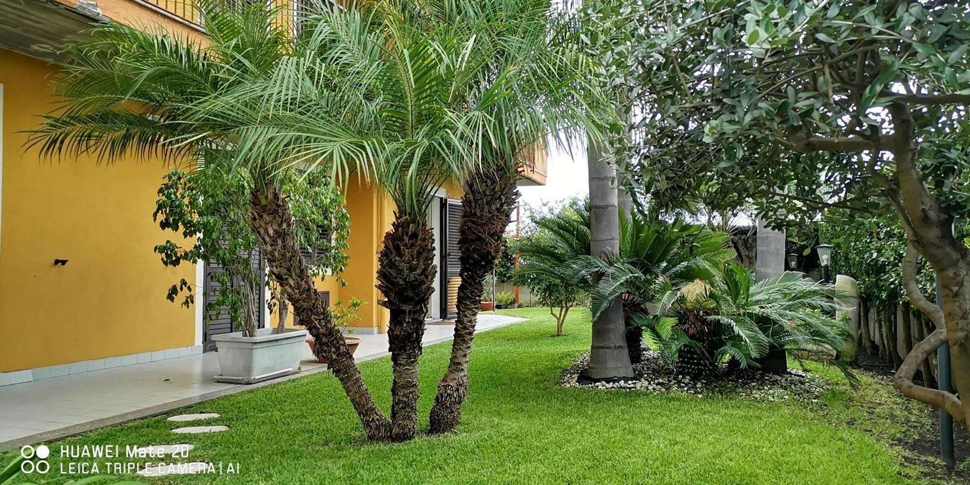 Maresole Tra L'Etna E Taormina Daire Mascali Dış mekan fotoğraf