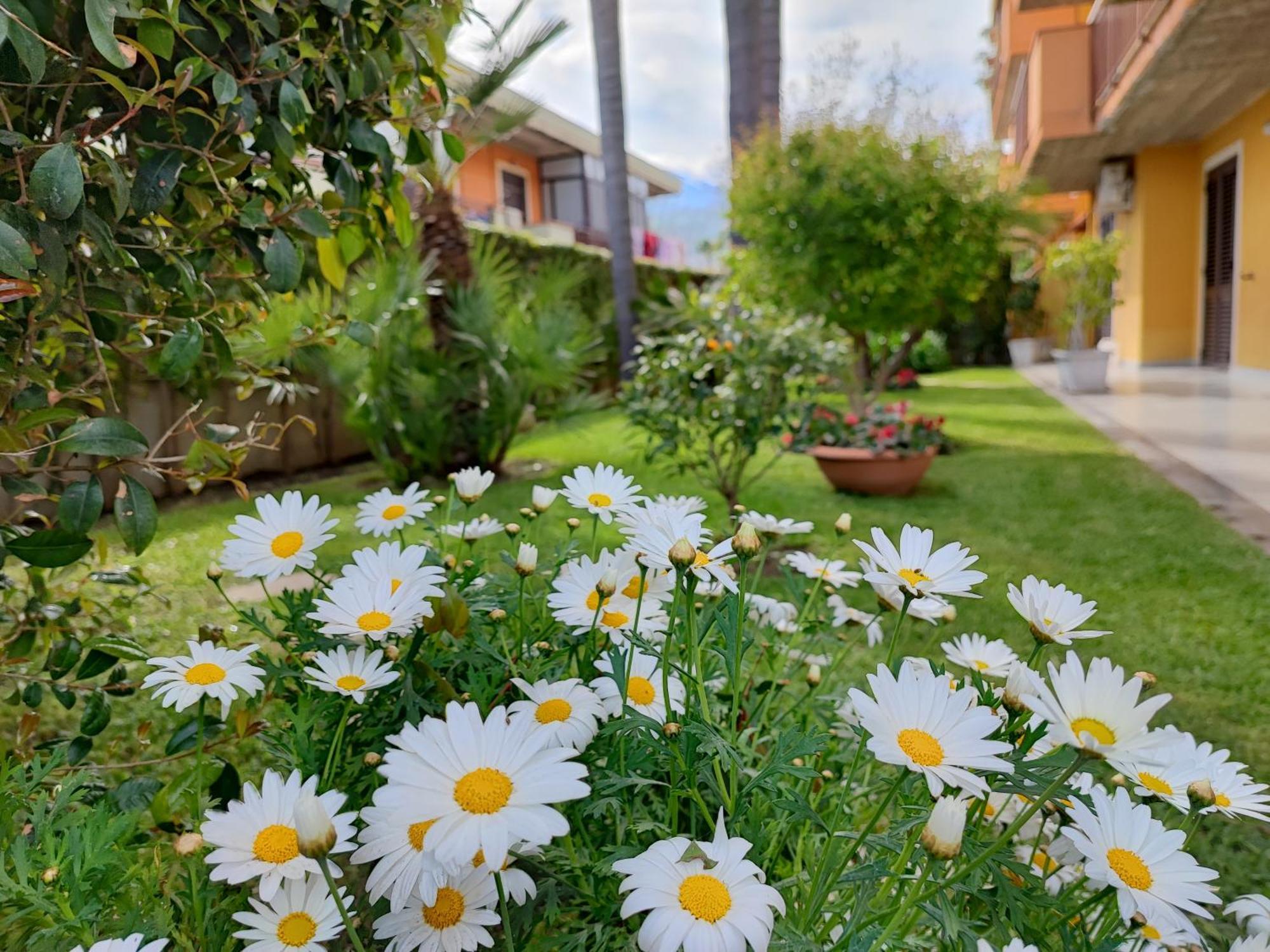 Maresole Tra L'Etna E Taormina Daire Mascali Dış mekan fotoğraf
